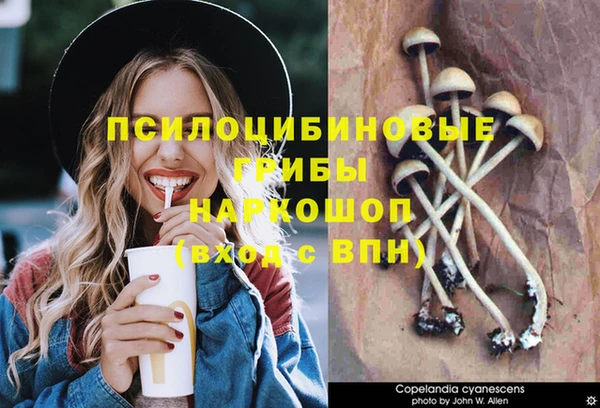 прущая мука Надым
