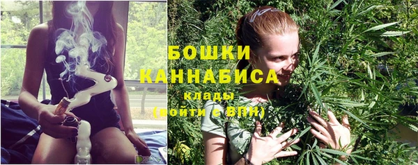 молекула духа Елизово