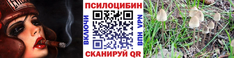 blacksprut как зайти  Радужный  Псилоцибиновые грибы Cubensis 